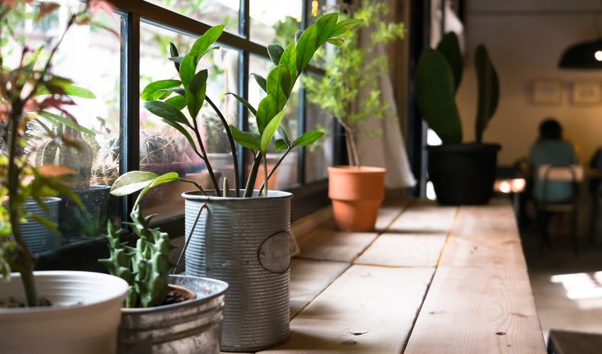 Top 10 Indoor Vertical Gardening Ideas to Transform Your Space