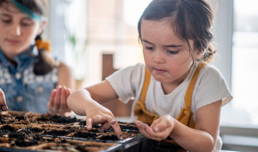 Transform Your Home with Indoor Gardening for Clean Air: A Beginner’s Guide